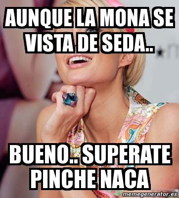 Meme Personalizado Aunque La Mona Se Vista De Seda Bueno Superate