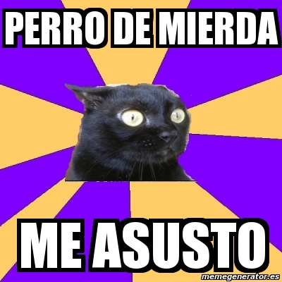 Meme Anxiety Cat Perro De Mierda Me Asusto 429444