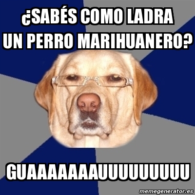 Meme Perro Racista Sabés como ladra un perro marihuanero