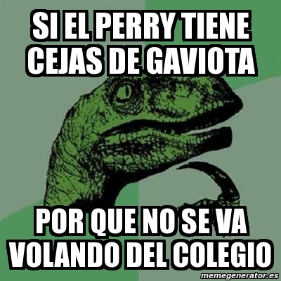 Meme Filosoraptor Si El Perry Tiene Cejas De Gaviota Por Que No Se Va