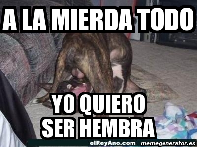 Meme Personalizado A La Mierda Todo Yo Quiero Ser Hembra 930422