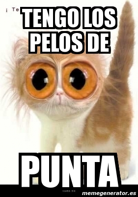 Meme Personalizado Tengo Los Pelos De Punta