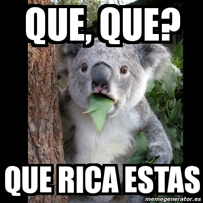 Meme Koala Que Que Que Rica Estas 10418311