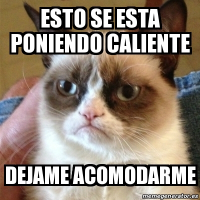 Meme Grumpy Cat Esto Se Esta Poniendo Caliente Dejame Acomodarme