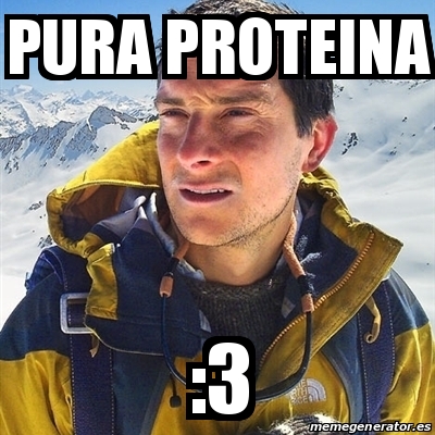 Meme Bear Grylls Pura Proteina