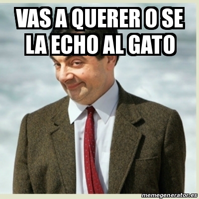 Meme Mr Bean Vas A Querer O Se La Echo Al Gato