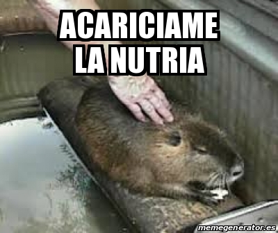 Meme Personalizado Acariciame La Nutria