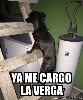 Meme Personalizado Ya Me Cargo La Verga