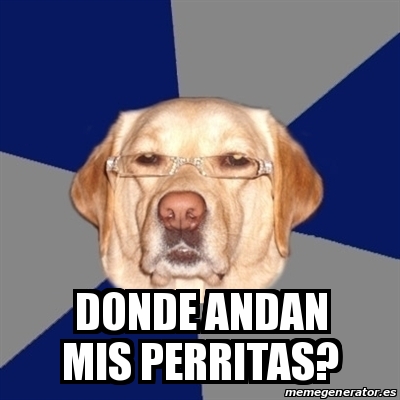 Meme Perro Racista Donde Andan Mis Perritas 17313369