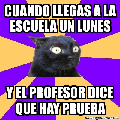 Meme Anxiety Cat CUANDO LLEGAS A LA ESCUELA UN LUNES Y EL PROFESOR