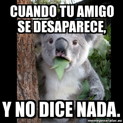 Meme Koala Cuando Tu Amigo Se Desaparece Y No Dice Nada 19331124