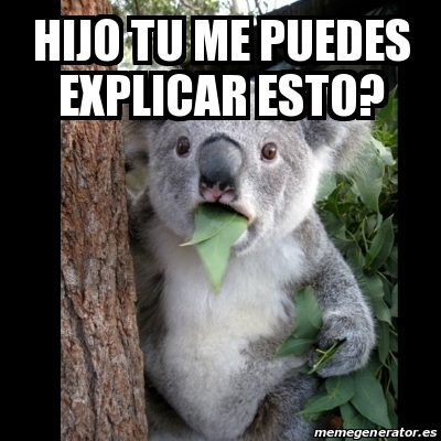 Meme Koala Hijo Tu Me Puedes Explicar Esto