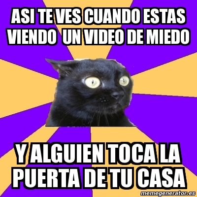 Meme Anxiety Cat Asi Te Ves Cuando Estas Viendo Un Video De Miedo Y