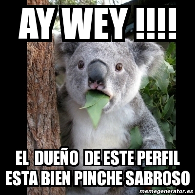 Meme Koala - ay wey !!!! el dueño de este perfil esta bien pinche