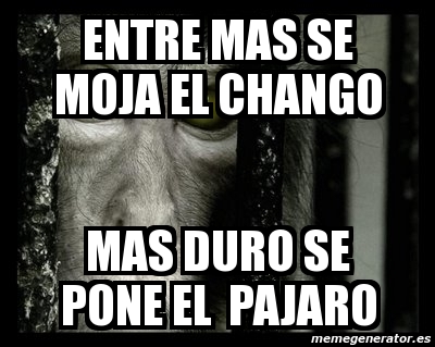 se pone puro se pone puro