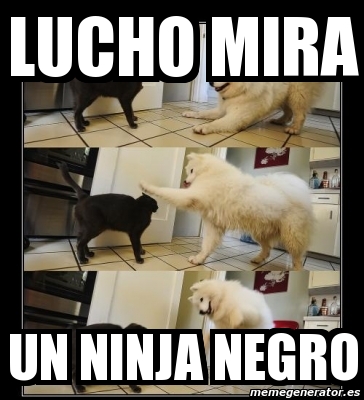 Meme Personalizado Lucho Mira Un Ninja Negro 2818123