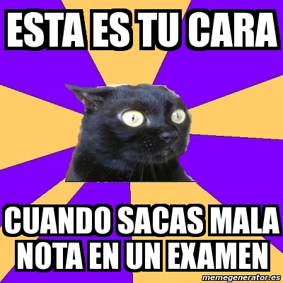 Meme Anxiety Cat ESTA ES TU CARA CUANDO SACAS MALA NOTA EN UN EXAMEN