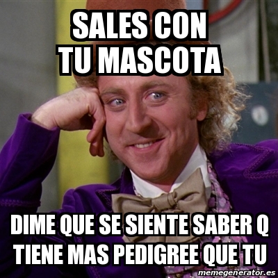 Meme Willy Wonka Sales Con Tu Mascota Dime Que Se Siente Saber Q