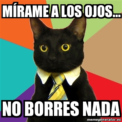 Meme Business Cat M Rame A Los Ojos No Borres Nada