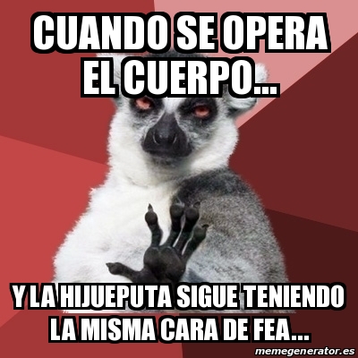 Meme Chill Out Lemur Cuando Se Opera El Cuerpo Y La Hijueputa