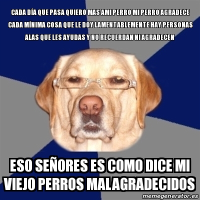 Meme Perro Racista Cada dÃa que pasa quiero mas ami perro mi perro