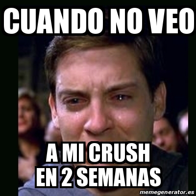 Meme Crying Peter Parker Cuando No Veo A Mi Crush En Semanas