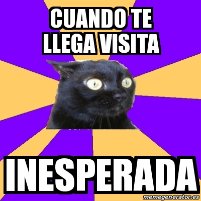 Meme Anxiety Cat Cuando Te Llega Visita Inesperada