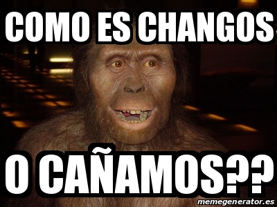 Meme Personalizado como es changos o cañamos 22115648