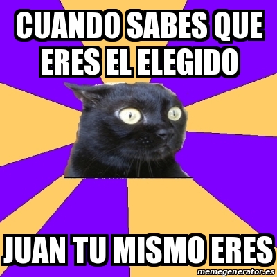 Meme Anxiety Cat Cuando Sabes Que Eres El Elegido Juan Tu Mismo Eres