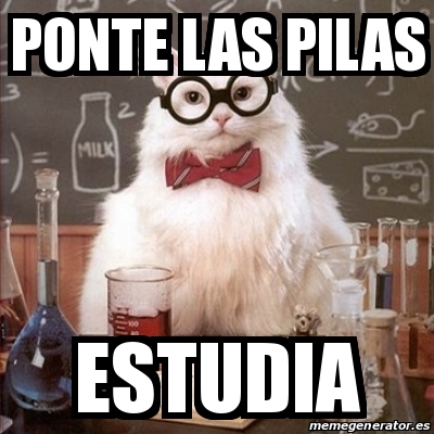 Meme Chemistry Cat Ponte Las Pilas Estudia