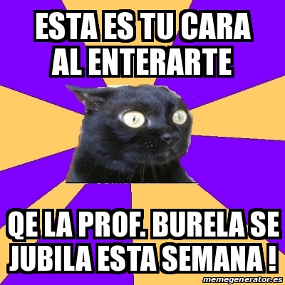 Meme Anxiety Cat Esta Es Tu Cara Al Enterarte Qe La Prof Burela Se