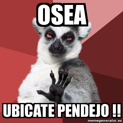 Meme Chill Out Lemur Osea Ubicate Pendejo 22432034