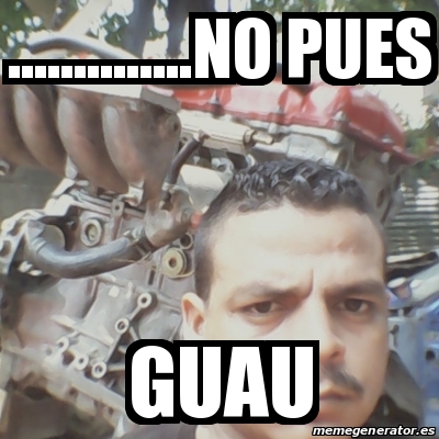 Meme Personalizado No Pues Guau