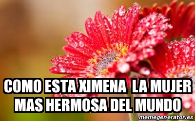 Los ejercicios a la escoliosis de la columna vertebral de 1 grado