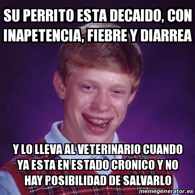 Meme Bad Luck Brian Su Perrito Esta Decaido Con Inapetencia Fiebre