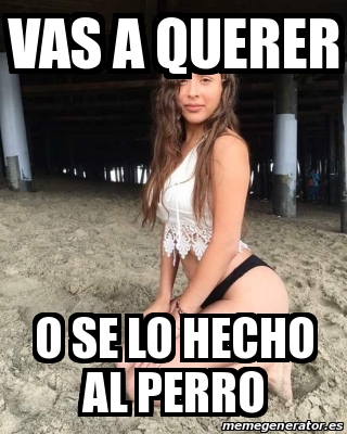 Meme Personalizado VAS A QUERER O SE LO HECHO AL PERRO 23036429