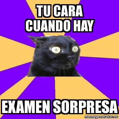 Meme Anxiety Cat Tu Cara Cuando Hay Examen Sorpresa