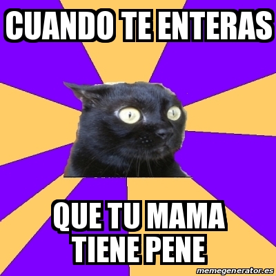 Meme Anxiety Cat Cuando Te Enteras Que Tu Mama Tiene Pene 23091397