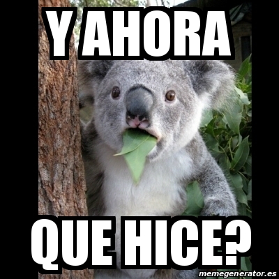 Meme Koala Y Ahora Que Hice