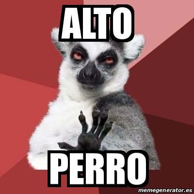 Meme Chill Out Lemur Alto Perro 24260998