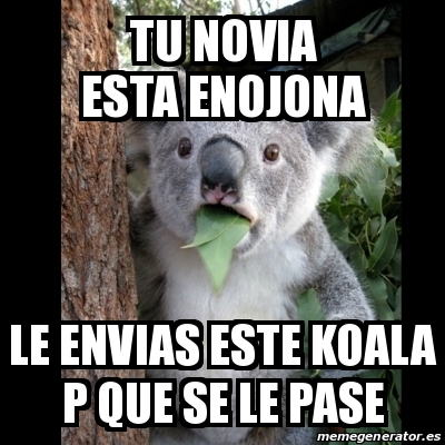 Meme Koala Tu Novia Esta Enojona Le Envias Este Koala P Que Se Le