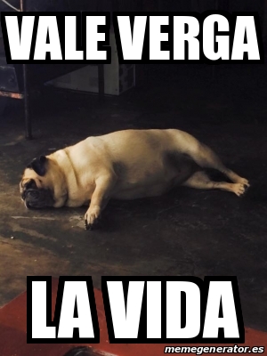 Meme Personalizado Vale Verga La Vida 25044932