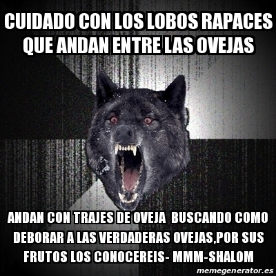 Meme Insanity Wolf Cuidado Con Los Lobos Rapaces Que Andan Entre Las