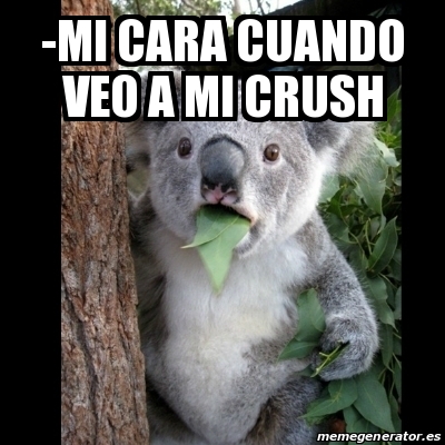 Meme Koala Mi Cara Cuando Veo A Mi Crush