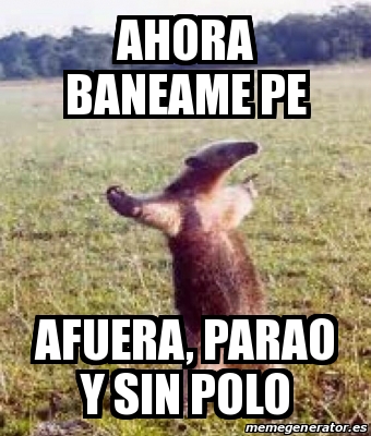 Meme Personalizado Ahora Baneame Pe Afuera Parao Y Sin Polo