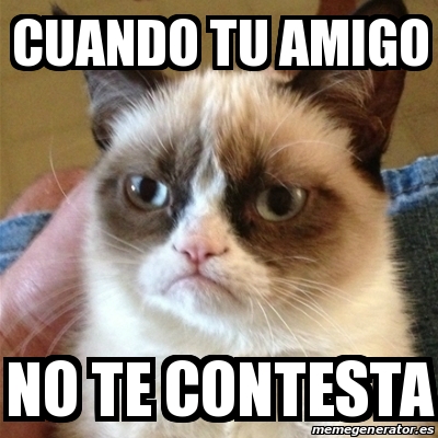 Meme Grumpy Cat Cuando Tu Amigo No Te Contesta 28172688