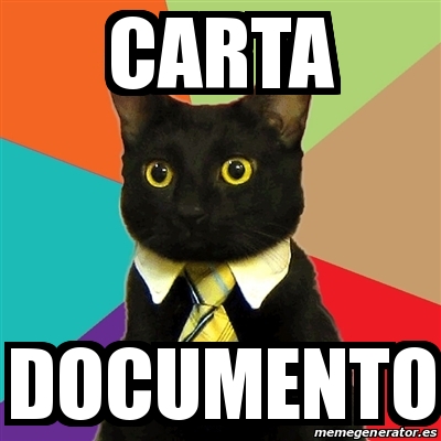 Meme Business Cat Carta Documento