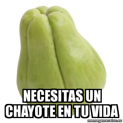 Meme Personalizado Necesitas Un Chayote En Tu Vida 29989261