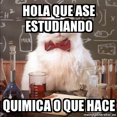 Meme Chemistry Cat Hola Que Ase Estudiando Quimica O Que Hace