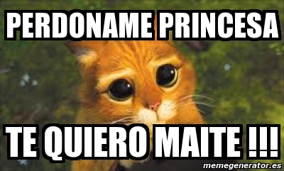 Meme Personalizado Perdoname Princesa Te Quiero Maite